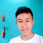 Profile picture of Brayan Daniel Chay